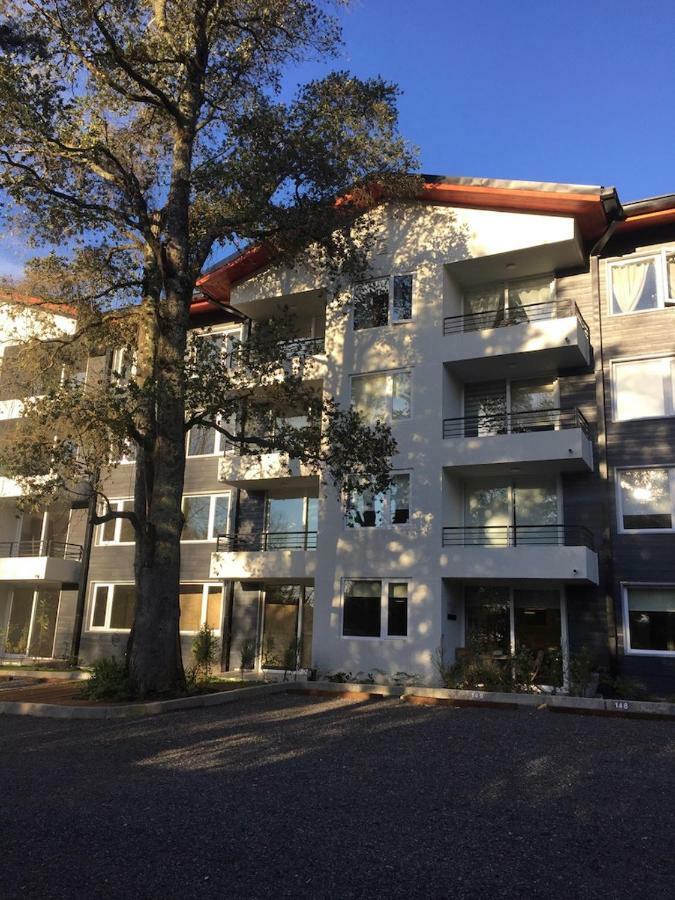 Condominio Robles camino al volcan Pucón Exterior foto